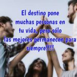 Frases De Amistad Cortas Y Bonitas (Las Mejores)